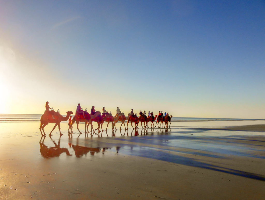 Camel ride in Broome