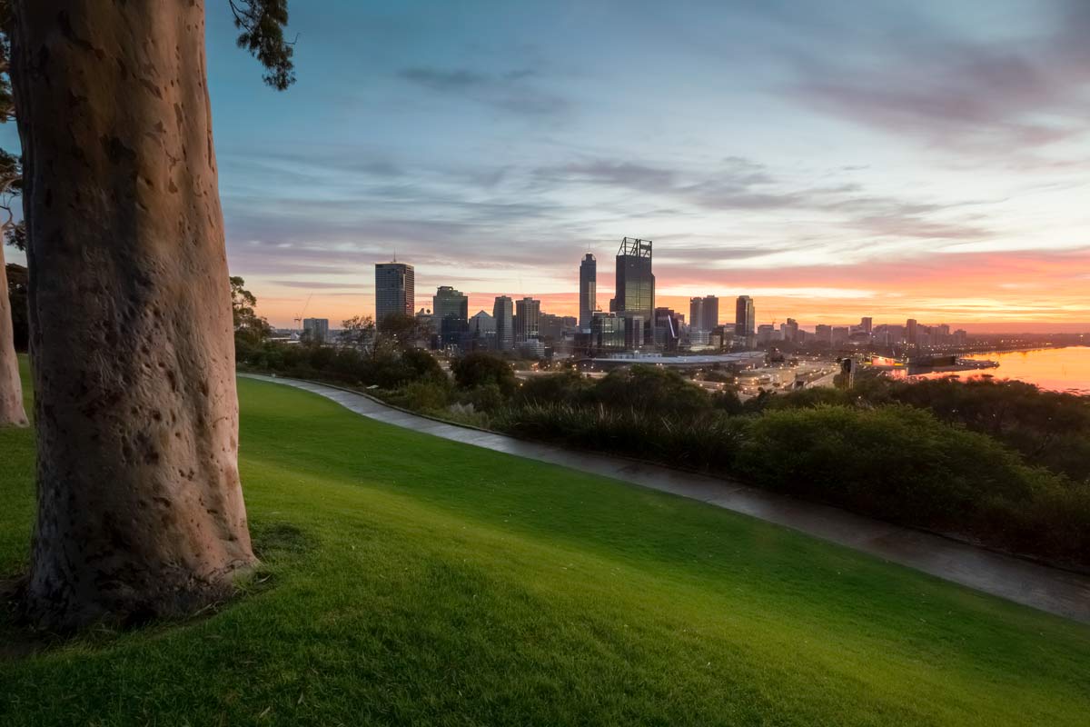 Perth city skyline from King's Park